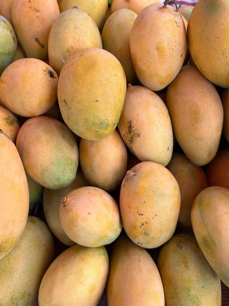 Alphonso Mangoes (1kg)