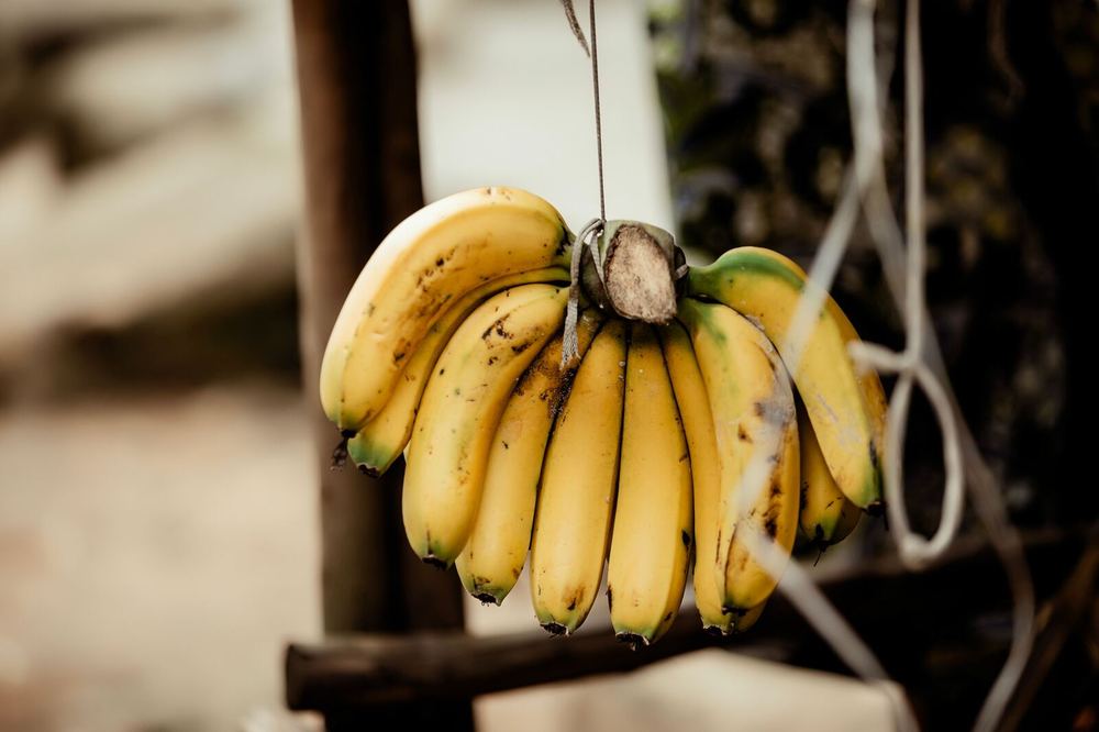 Fresh Bananas (1 dozen)